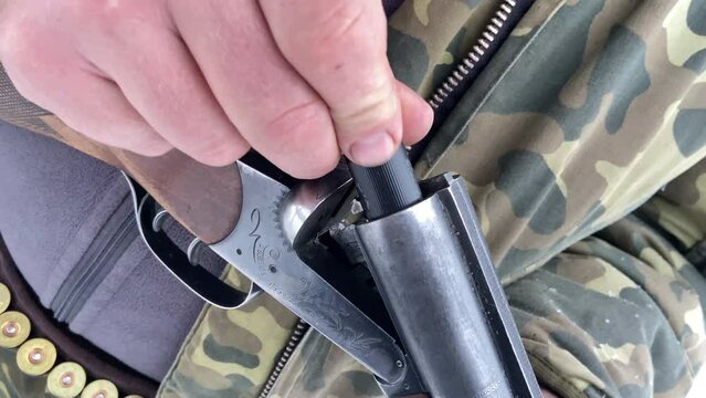 Shotgun in hunter hand. Hunter loads Cartridge (firearms) with shot into a double-barreled shotgun. Firearm ammunition for hunting gun. 12-gauge shotgun cartridges during hunting.