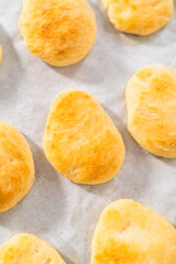 Homemade naan dippers