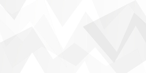 Abstract geometric background .  Abstract background with lines . Gray and white texture background . white and gray paper triangle abstract background. white paper texture and business ,card,flyer . 