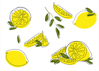 Lemon packaging design. Lemons freehand in line art style. Vector illustration with white background.