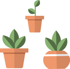 Isolated Plant Pot with tree and leaf. Floral Money plant Potted and growing with green eaves. 