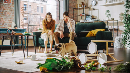 Funny Moment: Pug Dog Runs Away After Ruining Potted Flower by Overturning it and Making Mess in the Whole Apartment. Couple Sitting on Couch with look of Disbelief, Frustration. Cute Silly Puppy - obrazy, fototapety, plakaty