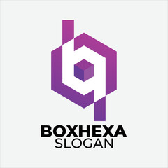 Boxhexa vector logo template design icon