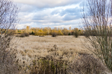 Kent Washington Fall 4