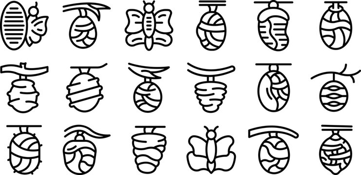 Cocoon icons set outline vector. Pupa cycle. Butterfly caterpillar
