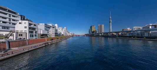 スカイツリーが見える川