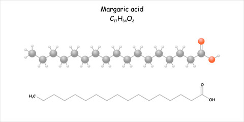 Stylized molecule model/structural formula of margaric acid.