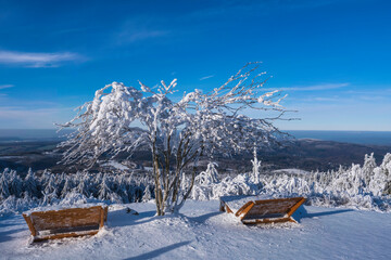 Benches with a view of the snow-covered Großer Feldberg/Germany in the Taunus with a bright blue sky