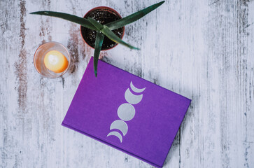 Flat lay with moon phase diary, aloe plant and lit candle	