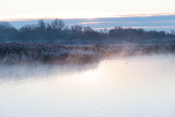 Beautiful winter morning, sunrise on lake the Netherlands.