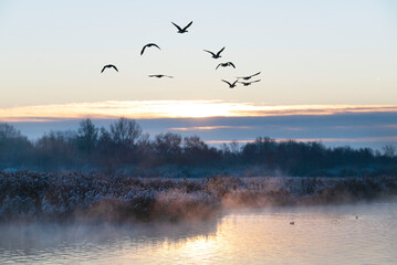 Obraz na płótnie Canvas Beautiful winter morning, sunrise on lake the Netherlands.