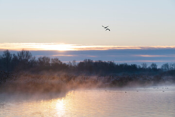 Obraz na płótnie Canvas Beautiful winter morning, sunrise on lake the Netherlands.