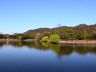 公園の池。
倉敷市水島福田緑地公園。
The pond of the park.
Mizushima forest sports park.
Kurashiki Okayama pref, West Japan.