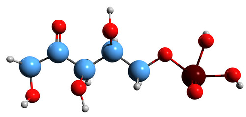  3D image of Ribulose 5-phosphate skeletal formula - molecular chemical structure of 5-O-Phosphono-D-ribulose isolated on white background
