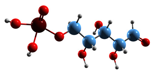  3D image of Ribose 5-phosphate skeletal formula - molecular chemical structure of  pentose phosphate pathway  intermediate isolated on white background