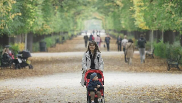 Single mother with kid in baby buggy walking on the alley in the park during a beautiful autumn day