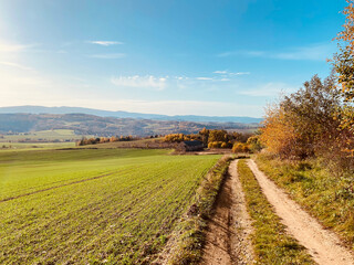 road in autumn