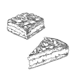 Hand drawn vector Bienenstich illustration. Traditional German bee sting cake. National dessert pieces template for design, ad, menu, label