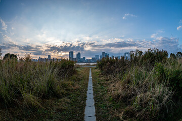 View of a path surrounded by plants with a river and Umeda city in the background during sunrise