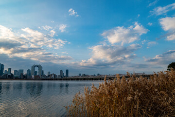 View of riverside with a blue sky, some plants and Umeda city in the background