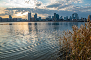 View of riverside with a blue sky, some plants and Umeda city in the background