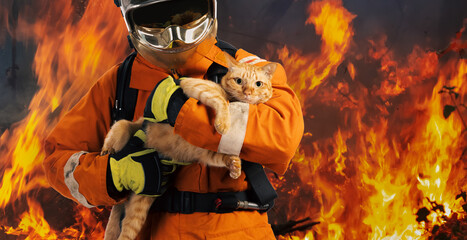 Firefighter carrying cat out from burning area