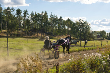 Lady trains a horse sitting in a sulky on a track