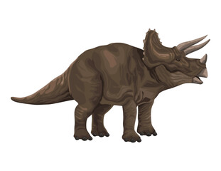 Fototapeta na wymiar triceratops dinosaur prehistoric animal