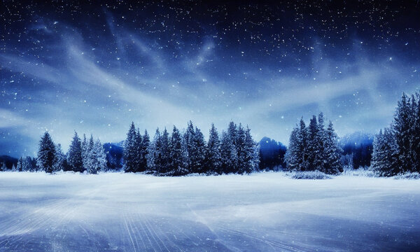 winter forest landscape, blue starry sky