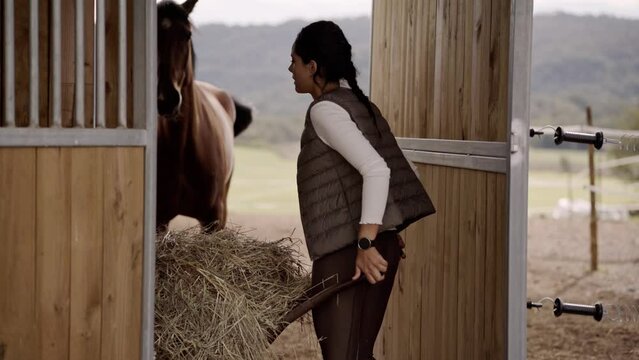 Pretty female horse woman bringing hay to the stall of a horse feeding her brown horse. Concept of life in a countryside and care of the domestic animals. Horse happily moving the tail ready to eat