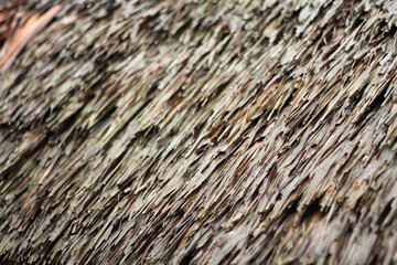 Photo of a thatched roof.