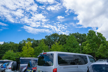 公園の駐車場から見る、夏の緑と青い空