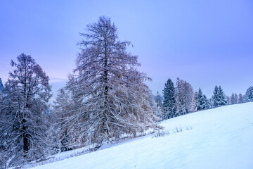 Panorama invernale con neve, tramonto, Trentino Alto Adige, Dolomiti
