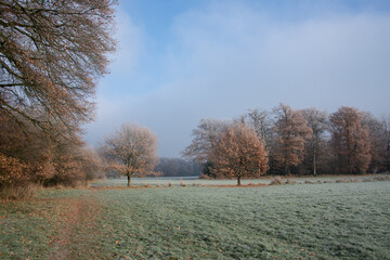 Winterliche Landschaft mit Feldern, Bäumen und Wolken mitten im Ruhrgebiet