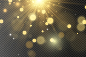 	
Brilliant gold dust vector shine. Glittering shiny ornaments for background. Vector illustration.
