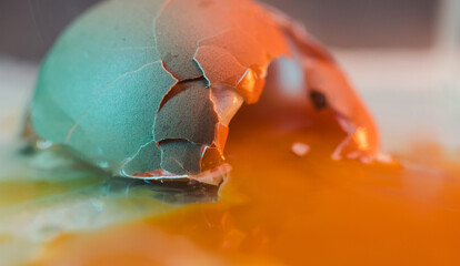 Cracked Egg