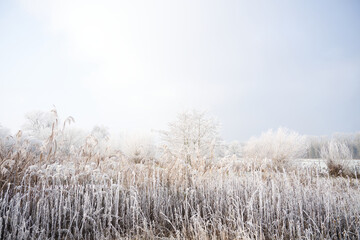 Prairies en hiver