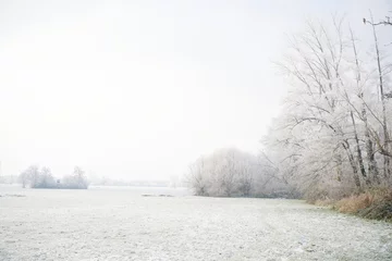 Foto op Plexiglas Prairies en hiver © Bruno