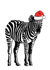 Vector zebra standing in red Santa Claus hat on white isolated, Christmas illustration