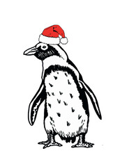 Vector penguin in Santa Claus red hat on white isolated.