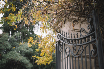 The palace gate with autumn leaves