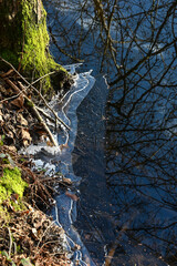 Belgique Wallonie Habay etang hiver gel environnement glace eau planète