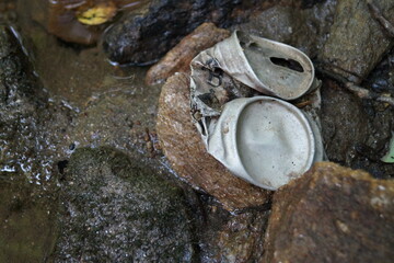 Trash in stream