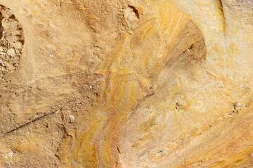 Detalle de una roca fosilizada en Rodalquilar