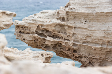 Los Escullos Almeria Detalle de una duna fósil 