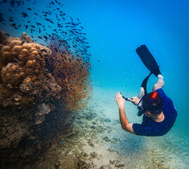 Free dive at Coral reef with school of colorful tropical fish underwater in Sattahip, Thailand