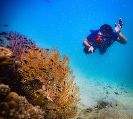 Free dive at Coral reef with school of colorful tropical fish underwater in Sattahip, Thailand
