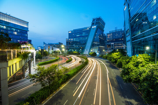 Snow covered pine forests near Shimla in winter