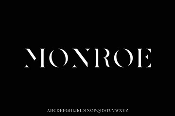Fototapeta premium Abstract serif display font vector with minimal design style