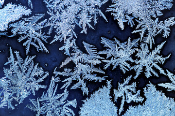 Extreme close-up of frost patterns on a window; Calgary, Alberta, Canada